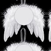 Feathered wing ornament